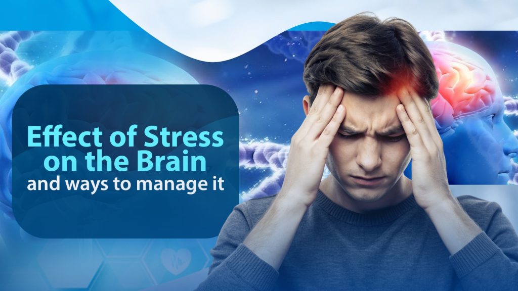 Stressed Out? Discover The Effect Of Stress On The Brain And Ways To Manage It!