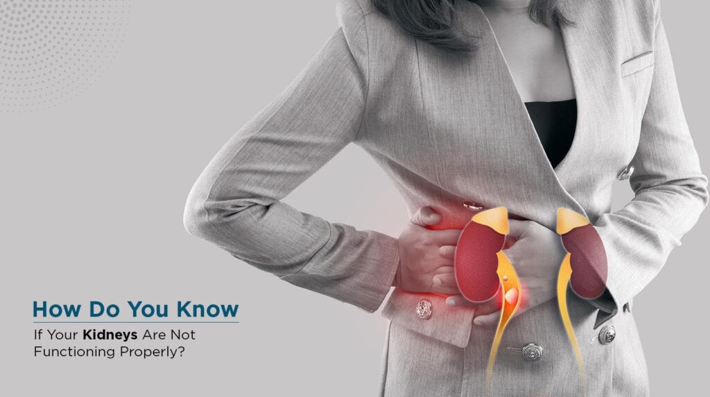 How Do You Know If Your Kidneys Are Not Functioning Properly?